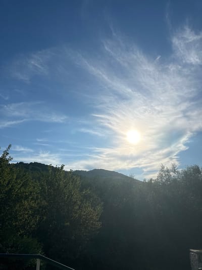 The image depicts a landscape scene with a mountain covered in lush green foliage on the left side and a bright blue sky filled with wispy white clouds on the right. The sun is prominently visible, shining brightly and creating a halo effect through the clouds. The sun's rays cast a warm glow across the sky, suggesting it is either morning or late afternoon. The mountain appears to be quite steep, and the dense vegetation indicates a natural, possibly rural or mountainous environment.
In the foreground, a portion of a stone structure is visible at the bottom left, along with a dark metal railing, hinting at a man-made viewpoint or structure. The overall mood is serene and picturesque, evoking a sense of natural beauty and tranquility. The lighting and cloud formations suggest fair weather.
The location context provided is Danilovka (Altai region), Russia. While no people or specific objects beyond the natural landscape and hints of human infrastructure are clearly identifiable, the scene captures a moment of natural splendor, likely enjoyed from an elevated position overlooking a valley or natural expanse. The image is oriented vertically, with the sky occupying the majority of the frame.