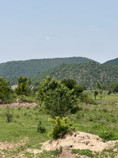 The image depicts a rural landscape in Atawa, Nigeria, characterized by rolling green hills covered in dense vegetation. The foreground features a mix of short, green grass and patches of bare, sandy soil, with a large, light brown rock formation that has several holes or tunnels. Several trees of varying sizes and foliage density are scattered throughout the scene, some appearing fuller and greener than others. In the background, the hills rise, their slopes thickly wooded with trees. The sky above is a pale, clear blue with a faint wisp of a cloud visible. There are no people or animals present in the image, and no specific actions are depicted. The overall impression is of a natural, undeveloped environment.