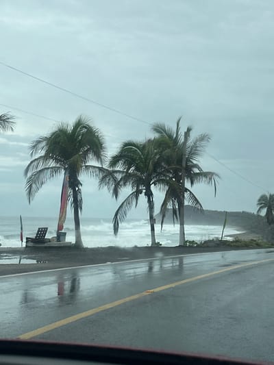 The image captures a coastal scene under an overcast sky, likely during or shortly after rainfall, as the asphalt road in the foreground is wet and reflective, with a yellow line marking the lane. Several palm trees are prominent, with lush green fronds. In the mid-ground, the ocean exhibits rough waves crashing against a shoreline dotted with more palm trees. A small section of a sandy beach is visible. On the left side of the road, near the palm trees and the ocean, there is a weathered lounge chair, a trash receptacle, and a tall, narrow banner or flag with colorful vertical stripes attached to a pole. Power lines are strung across the upper portion of the frame. The background reveals a hazy, undulating coastline with a prominent hill. The scene appears to be located along a road by the sea in El Calvario, Mexico.