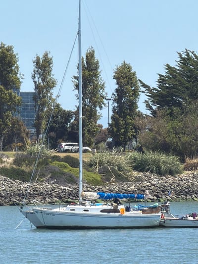 This image depicts a scene along a waterfront, likely in South San Francisco, USA. The primary subjects are two sailboats moored next to a rocky embankment. The sailboats are white with blue accents on sails or covers. One sailboat has a blue-covered sail in the foreground, and a person in light-colored pants and a blue shirt is visible standing on its deck. The other sailboat is further back and appears to have people on its deck as well.
The setting is a waterfront with a rocky shore lined with various types of vegetation, including trees and bushes. In the background, there is a body of water, likely a bay or harbor, with a clear blue sky above. A building with a grid-like pattern is visible in the mid-ground, suggesting an urban or developed area nearby. The time of day appears to be daytime, with bright sunlight casting shadows, indicating fair weather.
The overall impression is one of a peaceful day at the marina or harbor, with the boats docked and people potentially preparing for or returning from a sailing excursion. There is no explicit indication of a specific event, but the presence of people on the boats suggests some activity is occurring.
Visible text on the side of the foreground sailboat reads "C 19144 D".