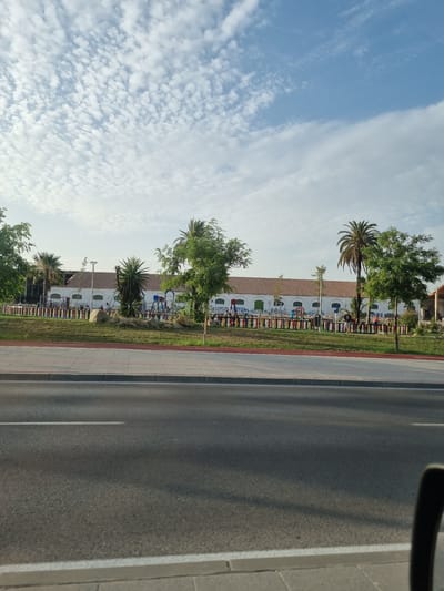 The image depicts a street scene in Jerez, Spain, with a building and trees lining the side of a road. The building appears to be a long, white structure with arched windows and a terracotta-tiled roof. In front of the building is a grassy area with several palm trees and other greenery. A colorful fence or barrier with multicolored vertical posts separates the grassy area from the road.
The road itself is paved and appears to be a multi-lane street with white lane markings. The right side of the road is bordered by a sidewalk made of light-colored paving stones. A portion of a vehicle's side mirror is visible in the upper right corner of the frame, suggesting the photo was taken from inside a car.
The sky is bright blue with scattered white clouds. The lighting suggests it is daytime, likely mid-morning or afternoon, with clear weather. The presence of palm trees and the style of architecture hint at a Mediterranean or southern European location, consistent with Jerez, Spain. There are a few indistinct figures visible near the building and in the grassy area, suggesting people are present, but they are not clearly identifiable. No text is visible in the image. The overall impression is one of a sunny day in an urban or suburban environment.