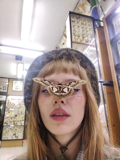A woman with freckled skin and a camouflage hat has a large moth perched on her nose. She has light blonde hair with blunt bangs and dark eyeliner. Two small silver studs are visible on her right cheek. Her lips are slightly parted and tinted pink. Behind her are displays of pinned butterflies and moths, suggesting she is in a museum or collection. Fluorescent lighting illuminates the scene from above.