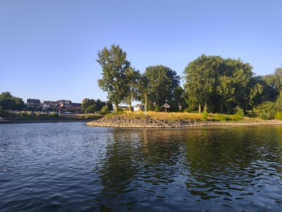 The image depicts a wide, calm river with gentle ripples on its surface. The water reflects the blue sky and the surrounding greenery. On the far bank, a small, rocky island is visible, covered with dry grass and a few trees. Beyond the island, a residential area with multi-story houses and parked cars lines the waterfront. Further inland, dense foliage and trees form a green backdrop. The sky is a clear, bright blue, indicating a sunny day. A small, open-sided wooden shelter with a thatched roof stands on the island, and a tall, thin pole with a flag is also present. The overall scene suggests a peaceful, natural setting within an urban environment, likely a park or recreational area alongside the Rhine River in Niederkassel, Germany.