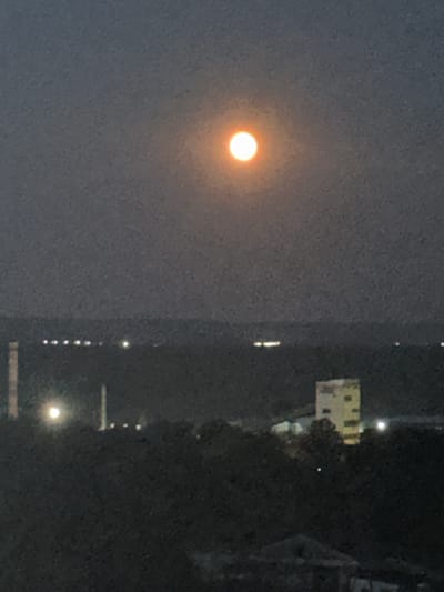 The image shows a night or dusk scene with a bright, orange-hued full moon dominating the upper portion of the frame. Below the moon, a dark, silhouetted landscape stretches across the horizon, suggesting trees and possibly the outline of buildings. In the mid-ground, several lights are visible, some appearing as single points and others as streaks or clusters, indicating a populated area or industrial site. One prominent structure, a light-colored, multi-story building, stands out against the darker surroundings, with lights visible in some of its windows. In the foreground, the silhouette of more trees is visible, adding to the overall depth and atmosphere of the scene. The location is identified as Бордуки, Russia, suggesting an urban or semi-urban environment at night.