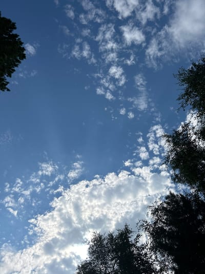 The image depicts a view of the sky from below, framed by dark silhouettes of trees on the left, top, and right sides. The sky is a vibrant blue, dotted with scattered white clouds of varying sizes and densities. Some clouds are wispy and stretched out, while others are more puffy and cumulus-like. Sunlight filters through some of the clouds, creating brighter patches and subtle rays. The scene suggests an outdoor setting, possibly a park or forest, under a daytime sky. The location is stated to be Tolbazikha, Russia. No people or specific objects are visible within the frame, focusing solely on the natural elements of the sky and trees.