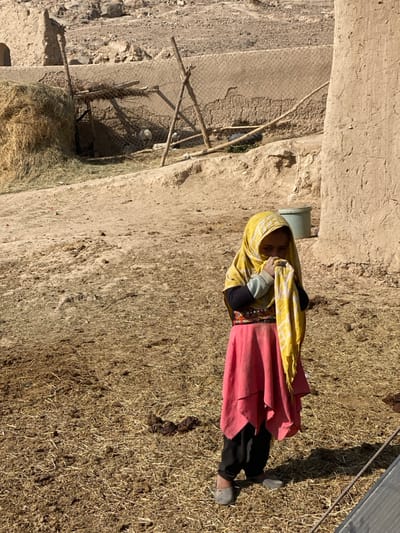 A young girl stands in an arid outdoor environment in Bazar-e Panjva'i, Afghanistan. She is positioned slightly right of the frame's center, facing forward. The girl wears a yellow head covering pulled over her head and held to her lower face with her left hand, a black long-sleeved top, a vibrant, embroidered vest or top, a pink layered skirt, and dark trousers beneath, paired with light-colored slip-on shoes. The ground is composed of dry, light-brown earth interspersed with straw and features visible animal droppings to the left of the girl. In the midground, to the left, is a large pile of hay. Behind the hay and extending across the frame is a low mud-brick wall. Beyond this wall, a rudimentary fenced enclosure constructed from wooden poles and wire mesh contains two light-colored animals, possibly goats or sheep. To the right of the girl, a tall, weathered mud-brick structure casts a shadow, with a light green bucket visible near its base. The background consists of barren, rocky hills and additional mud-brick structures under a clear sky.
