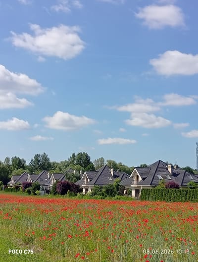 In Kiełczów, Poland, a landscape features a field of red poppies in the foreground, with a row of modern houses situated behind a hedge. The houses have dark, sloped roofs and light-colored walls, with some exhibiting dormer windows. A line of green trees forms a backdrop to the houses. The sky above is a clear blue with scattered white clouds. The lower-left corner of the image displays "POCO C75" and the lower-right corner shows "08.06.2026 10:13".