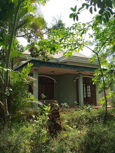 A single-story, light-green house with dark brown doors and light-green columns is obscured by lush vegetation. The house has a low-pitched roof with a dark trim. The surrounding foliage consists of various trees and dense ground cover. The location is assumed to be in Đà Giang, Vietnam. There are no people visible in the image.