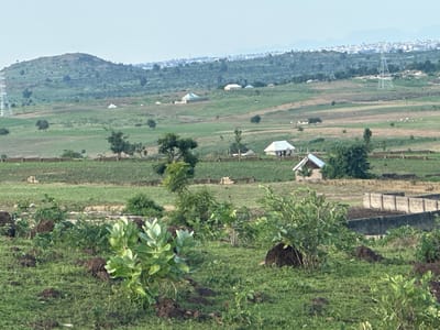 This is a medium shot of a rural landscape in Gidan Waziri, Nigeria. The scene depicts rolling hills covered in green grass and scattered trees. Several structures, appearing to be houses or small buildings with light-colored roofs, are visible on the hillsides and in the midground. A tall, metallic electrical pylon stands prominently on the left side of the frame, suggesting the presence of infrastructure. In the foreground, the land is covered in lush green vegetation, with some mounds of dark earth. A concrete wall, possibly part of a construction site or enclosure, is visible in the right midground, separating different areas of the landscape. The sky is overcast, indicating a potentially cloudy or hazy day. The overall impression is one of a developing rural area with a blend of natural landscape and human habitation. There is no visible text in the image. The time of day appears to be daytime, with soft, diffused lighting.