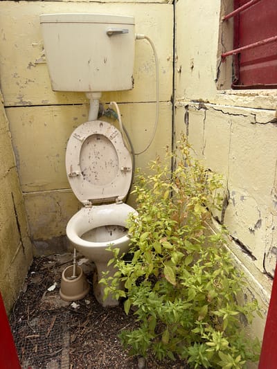 The image depicts an old, disused toilet situated outdoors, possibly in a neglected area of the Gilboa Regional Council, Israel. The toilet, made of light beige porcelain, is heavily soiled and shows signs of age and disrepair. Its seat is open, exposing the interior. A tank is mounted on the wall and connected to the toilet bowl with a tube. The surrounding wall has peeling, yellow paint and significant cracks, indicating structural issues. A large, flourishing green plant grows directly behind the toilet, suggesting an absence of regular maintenance. The ground is covered in dirt, leaves, and a wire mesh. A red painted frame structure is partially visible in the top-left corner of the image. The overall scene suggests decay and abandonment. No people are present.