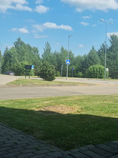 The image depicts an outdoor scene with a clear blue sky and scattered white clouds, suggesting a sunny day. The perspective is taken from ground level, looking towards a paved pathway bordered by green grass and trees. A street lamp is visible in the upper left corner. Further down the pathway, there are traffic signs. One sign is blue and depicts a pedestrian crossing. Another sign, partially obscured, appears to be a circular road sign with a red border and a diagonal red line, possibly indicating a prohibition. A blue sign with a white "P" symbol, indicating parking, is also visible.
The pathway itself is a light gray asphalt, and a crosswalk with white stripes is marked across it. To the right of the pathway, a strip of well-maintained green grass stretches alongside a dark gray paved surface, possibly a sidewalk or patio, made of interlocking brick pavers. The overall setting suggests a well-kept public area, possibly a park, residential street, or the grounds of a facility, given the presence of street lamps and traffic signs. The time of day appears to be daytime, with bright sunlight casting shadows. The lush green trees suggest a temperate climate, and the overall mood is calm and ordinary, with no specific event or activity prominently featured. A car is partially visible parked on the left side of the image, near the pathway.