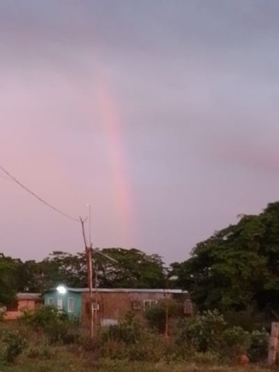 This media file presents a serene, rural landscape captured at either dawn or dusk in El Samán, Venezuela.

The sky dominates the upper portion of the image, displaying soft gradients of lavender, pink, and pale blue, indicative of twilight. A faint, ethereal rainbow arches subtly through the upper center of the sky, suggesting recent rainfall.

In the midground, several low-rise buildings are partially obscured by dense vegetation. A prominent structure features a section painted in a teal or light green hue, brightly illuminated by an artificial light source. Adjacent to this, a larger section of the building exhibits a brick-like brown texture. Further to the left, a smaller, reddish-orange building is partially visible.

The foreground is characterized by dry grass and scattered bushes, leading up to a lush expanse of dark green trees and dense shrubs. These trees form a significant canopy behind and around the buildings, filling much of the midground and the right side of the image, typical of a tropical or subtropical environment.

A rustic wooden utility pole stands towards the left side of the frame, with an overhead wire stretching across the upper left sky. A small, bright, circular object, possibly the moon or a distant artificial light, is visible just above this pole.

The overall scene conveys a peaceful and tranquil atmosphere, likely just after a rain shower, with no people or visible text present.
