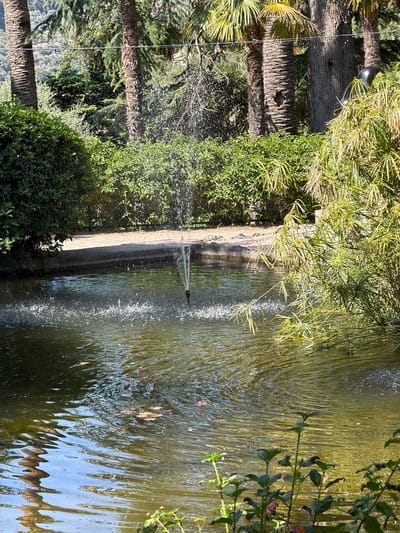 The image shows a water fountain in a park-like setting. The fountain is located in Bunyola, Spain. The fountain is composed of a concrete basin from which water is jetted upwards, creating a spray. The water appears to be murky. The environment is lush with various types of greenery, including bushes, plants and palm trees that surround the fountain, casting shadows on the water. The time of day seems to be sunny, as evidenced by the shadows and the bright light reflecting on the water surface.