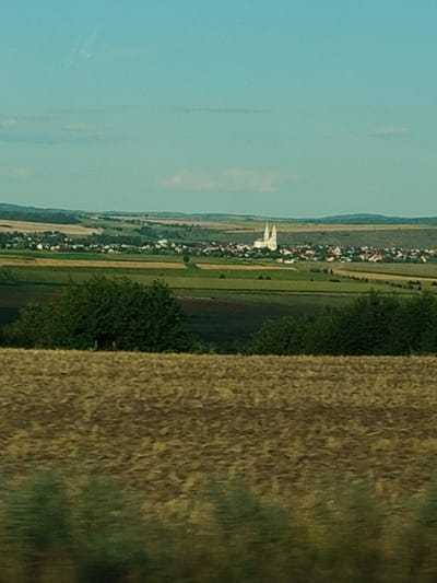 This is a landscape photograph taken from a slightly elevated perspective, likely from a moving vehicle due to motion blur in the foreground. The scene depicts a rural landscape with rolling hills, agricultural fields, and a distant town.

In the foreground, there is a blurred area of brown and yellow, suggesting a field of dry grass or harvested crops. Below this, a band of dark green foliage indicates trees or bushes.

The middle ground features a patchwork of agricultural fields in various shades of green and brown, indicating different crops or stages of growth. A cluster of dark green trees is prominently positioned in the left-middle ground.

The background reveals a town nestled on a gentle slope. The most striking feature of the town is a prominent white church with two spires, likely the Parish Church of Saint Michael in Săbăoani, Romania. The town itself consists of numerous buildings with red and white rooftops, interspersed with green trees. Beyond the town, more rolling hills are visible, fading into a pale blue sky with a few wispy clouds. The overall impression is of a peaceful, rural setting on a clear day.