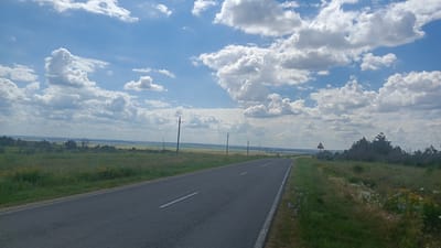 The image depicts a rural landscape near the village of Rybushka, Russia, under a bright, cloudy sky. A two-lane asphalt road stretches into the distance, bordered by grassy verges dotted with wildflowers and scattered trees. Power lines run parallel to the road, supported by utility poles. In the background, a vast expanse of fields and vegetation extends to the horizon. A triangular traffic sign indicating a steep descent is visible on the right side of the road, near a cluster of evergreen trees. No people or vehicles are present in the scene.