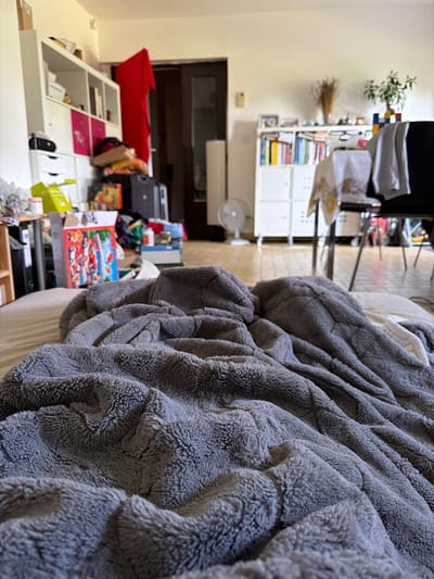 The image depicts a cluttered living room in Saint-Genis-Pouilly, France. In the foreground, a rumpled gray fluffy blanket covers a bed or sofa. The background reveals a room with white shelving units filled with books and various objects, including a red piece of fabric draped over a shelf. A door is visible in the mid-ground, and further back, there is a dining area with chairs and a table covered by a tablecloth. The overall impression is of a lived-in space with items distributed throughout.