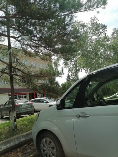 This is a medium-angle outdoor photograph taken in the city of Lesozavodsk, Russia. The scene depicts a parking lot with several cars and a building in the background. In the foreground, a white van is parked, with its side door and part of its front visible. The van's door handle is silver, and there are some dirt smudges on the vehicle's exterior. To the left of the white van, a dark grey Nissan Juke is parked, facing away from the camera. Its rear bumper and license plate are visible, reading "P682CH 125". Next to the Nissan Juke, a white car, possibly a station wagon, is parked, with its side and rear visible. Behind the cars is a light-colored, brick building with multiple windows. Overhanging the scene are branches of a large pine tree, casting shadows. The sky is overcast with some visible clouds. The ground is covered with grass and some fallen leaves. A concrete curb is visible in front of the parked cars.
