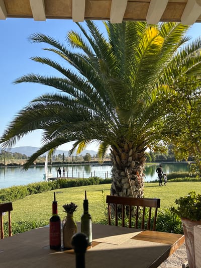 A palm tree dominates the view, its fronds stretching towards a clear blue sky. A glimpse of a tranquil lake with distant hills is visible through the tree. A table laden with wine bottles, a chair, and a grassy lawn are also visible in the background. People can be seen in the background walking on the lawn. The scene evokes a peaceful and relaxing atmosphere.