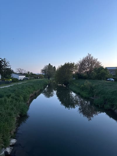 The image depicts a canal in Wiener Neustadt, Austria at dusk. The sky transitions from light blue to a faint orange near the horizon. Lush green grass lines the banks of the canal. Trees with full foliage grow along the edge, their reflections mirrored in the still water. On the left bank, a walking path is visible, and in the distance, buildings can be seen. A parked car is present in the upper part of the image.