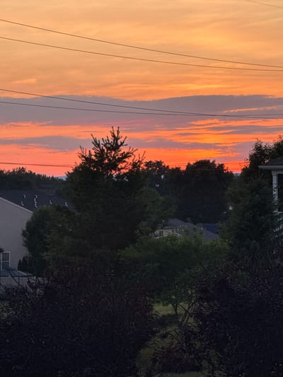 A nighttime photograph captures a suburban landscape with a vibrant sunset. The sky transitions from deep orange and pink hues at the horizon to a lighter yellow and peach at the top, with wispy clouds spread across it. Three thin black wires, likely power lines, stretch horizontally across the upper portion of the frame. In the mid-ground, silhouetted trees with dark green foliage stand out against the colorful sky. Some of these trees appear to be pine trees, identifiable by their spiky needles. Below the trees, rooftops of houses are visible, some with visible attic vents. A dark, leafy bush dominates the foreground, obscuring the lower part of the scene. The photograph is taken from an elevated viewpoint, looking down onto the neighborhood.
