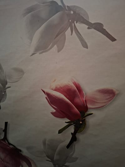 The image displays a patterned arrangement of multiple magnolia flowers against a light, subtly textured background, situated in Selyanin, Bulgaria. A prominent, partially bloomed flower with deep pink to reddish petals and a dark stem is positioned in the lower-right quadrant, exhibiting distinct highlights and shadows. In the upper-center, a pale grey, closed flower bud with an extended dark stem is visible. Further floral elements, including darker, partial buds in the lower-left and faint, ghosted flower outlines, contribute to the repeating pattern across the light background. No individuals or animate actions are present.