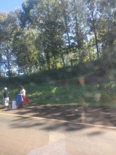 Two women stand on the shoulder of a paved road next to a grass embankment and a line of trees in a Municipality ward, Kenya. One woman is wearing a head covering and dark clothing and is carrying a bag. The second woman is wearing a white shirt and a long red skirt, and is holding a blue bag. There are other bags at their feet. The image is taken from inside a vehicle, and there are reflections on the window.