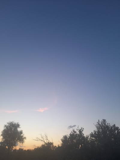 This media file captures a serene natural scene at dusk in Kliushnykivka, Ukraine. The primary subjects are the sky and silhouetted trees. The sky transitions from a deep, rich blue on the left to a soft, pale gradient of light blue and hints of orange and pink on the right, indicating the presence of a sunset or sunrise. A few wispy clouds are visible, tinged with the warm colors of the fading light.
The scene is dominated by the silhouettes of trees along the right edge of the frame and a larger tree in the lower right corner. Their dark forms contrast sharply with the illuminated sky, creating a dramatic effect. The branches of some trees are bare, suggesting it might be late autumn or winter, or that they are deciduous trees that have lost their leaves. The overall atmosphere is peaceful and tranquil, evoking a sense of calm.
The time of day is clearly evening or early morning due to the colors in the sky. There are no people or man-made objects visible, emphasizing the natural beauty of the location. The weather appears clear, apart from the scattered clouds. The specific location in Kliushnykivka, Ukraine, adds a geographical context to the image. There is no visible text in the media file.