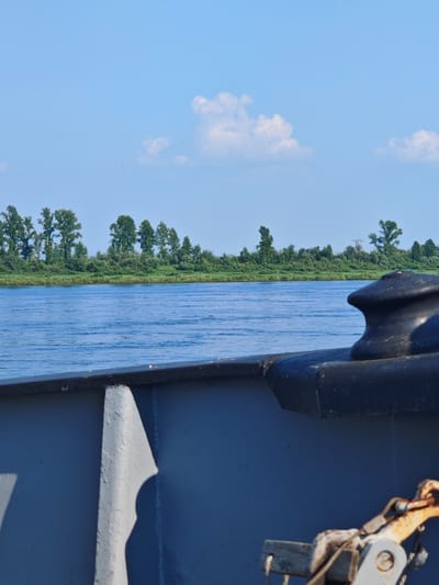 An eye-level, medium shot captures a tranquil river scene with a lush green embankment under a bright blue sky with scattered clouds. In the foreground, the dark blue, weathered railing of a boat runs horizontally across the bottom half of the frame, with a large, black bollard protruding from the right side. The river's surface is a vibrant blue, rippling gently. The embankment on the opposite bank is densely covered with trees and vegetation, creating a natural barrier against the sky. The overall impression is one of peaceful natural beauty and calm.