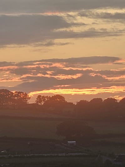 This is a landscape image depicting a dramatic sky at either sunrise or sunset, likely over a rural area near Holywell, United Kingdom. The photograph is oriented vertically but shows a horizontal scene.
The dominant feature is the sky, which occupies the upper two-thirds of the image. Streaky, elongated clouds are illuminated from below or behind by warm light, creating vibrant orange, yellow, and reddish hues against a lighter, more muted grey-blue sky in the upper left. These clouds appear layered and textured, with darker undersides and brightly lit edges.
A dark silhouette of trees and foliage forms the horizon line, separating the brightly colored sky from the darker landscape below. The trees appear dense and bushy. Below the tree line, the landscape is very dark, suggesting a field or distant land bathed in the fading or emerging light. In the far right portion of the dark foreground, faint structures are visible, possibly a fence, power lines, or a railway track, along with a small, light rectangular object.
The overall mood is peaceful and serene, capturing the natural beauty of a dawn or dusk sky. There is no visible text in the image.