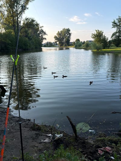 The image depicts a tranquil lake scene with a fishing rod set up on the muddy bank in the foreground. Several ducks are swimming on the calm water. The lake is surrounded by lush green trees and vegetation, with houses visible in the distance. The sky is clear with a few scattered clouds, suggesting it is either early morning or late afternoon. The overall atmosphere is peaceful and serene.