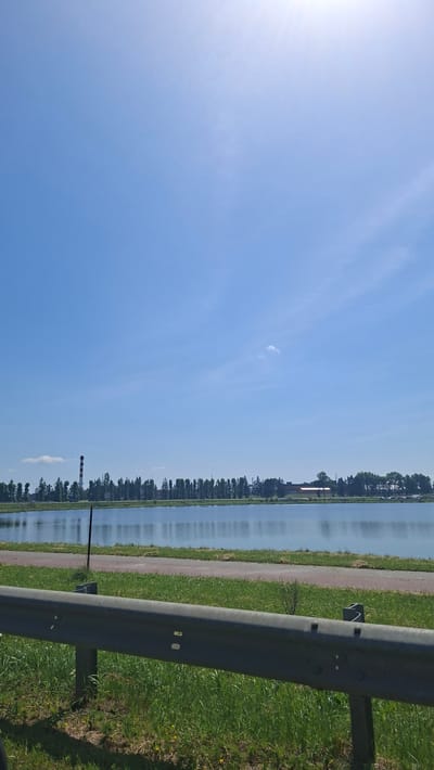 The image captures a serene landscape on a clear, sunny day in Dzyarzhynsk, Belarus. The foreground is dominated by a metal guardrail and lush green grass, suggesting the viewpoint is from a roadside or path. Beyond this, a tranquil body of water reflects the sky and the distant tree line. The middle ground features a row of trees, interspersed with buildings and a tall, red and white striped industrial chimney on the left side. The background consists of a vast, clear blue sky with faint wisps of clouds and the bright glare of the sun, indicating it's likely midday or early afternoon. The overall scene depicts a peaceful, semi-rural environment, possibly near an industrial area given the chimney.