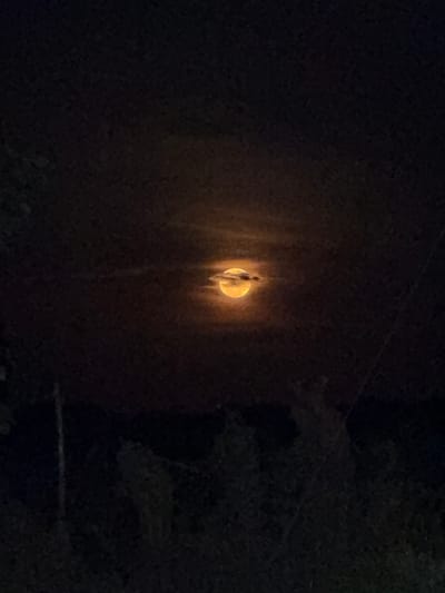 The image shows a night scene in Cotorra, Colombia. A bright, nearly full moon dominates the center of the frame, partially obscured by thin, linear objects that might be branches or wires. The surrounding area is dark, but hints of foliage are visible along the right edge and lower portion of the frame. Power lines are visible on the top right.