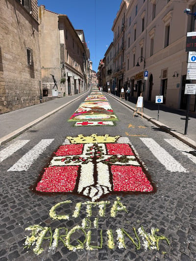 This image depicts a cobblestone street in Tarquinia, Italy, adorned with a long, multi-panel floral carpet, characteristic of an "Infiorata" event. The street, which slopes gently uphill, is bordered by historic buildings under a clear blue sky.

In the immediate foreground, the words "CITTA TARQUINIA" are spelled out on the cobblestones using light yellow flower petals and green plant matter. Above this text, a large heraldic design formed from red, white, and yellow flower petals is displayed, featuring a crowned shield with a central cross and floral motifs. This design extends across a pedestrian crosswalk, which is marked with white paint on the dark grey cobblestones.

The floral carpet continues as a linear arrangement of numerous distinct panels up the center of the street, each exhibiting a unique intricate pattern and color scheme composed of various flower petals. Several white easels with display boards are positioned alongside the floral carpet at intervals, suggesting information points for the event.

On the left side of the street, an old stone wall, characterized by large, irregular blocks, forms the base of a building. Further up this side, a statue of a human figure in a dynamic pose, made of a dark material, stands on a pedestal next to a plastered building. A barred window is visible in the stone wall closer to the foreground.

On the right side of the street, a continuous row of multi-story buildings with light-colored plastered facades features uniformly spaced windows and ground-floor commercial establishments. Visible signs include "Foto Office," a blue 'P' symbol for parking, and several regulatory signs, one indicating "AREA PEDONALE" (pedestrian area) with a walking figure, and another with text in Italian referring to electronic access control and a phone number (0766 849244). Streetlights are affixed to the building facades.

Several individuals are sparsely distributed along the sidewalks and near the floral display further up the street, observing the event. The bright sunlight casts distinct shadows from the buildings and street furniture.