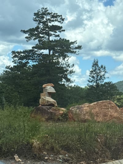 The image shows a natural outdoor scene, likely in the vicinity of Đa Bla, Vietnam, characterized by a balance of flora and geological features. Dominating the background is a dense evergreen forest, with tall trees reaching towards a sky filled with dramatic, large cumulus clouds interspersed with patches of blue. In the mid-ground, a prominent rock formation, composed of several stacked stones, is arranged in a deliberate, almost sculptural manner. This cairn-like structure stands amidst lush green vegetation, including tall grasses and smaller flowering plants, suggesting a wild or semi-wild environment. To the right of the stone formation, a large, reddish-brown boulder rests on the ground, its textured surface partially visible. The overall impression is one of a serene, natural landscape with a touch of human intervention in the form of the stacked rocks. The lighting suggests daytime, possibly late afternoon, given the contrast between the clouds and the sunlit areas. There are no people visible in the frame.