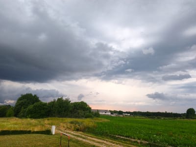 This is a landscape photograph taken in Kyviškės, Lithuania. The scene depicts a rural setting under a dramatic sky filled with heavy, dark storm clouds. The clouds dominate the upper portion of the image, with a lighter, possibly sunset-tinged glow visible on the horizon towards the right.
In the middle ground, a line of dense green trees separates a wild, overgrown meadow from a vibrant, green cultivated field. Beyond the field, a cluster of white farm buildings with dark roofs are visible. The terrain appears relatively flat, with a dirt path winding through the foreground and into the middle distance.
In the immediate foreground, there is a manicured lawn, a low, dark green hedge, and a white post. A red and black object, possibly part of some sports equipment or a boundary marker, is also visible in the lower left of the frame.
The overall mood of the image is one of impending weather, with the dark clouds suggesting an approaching storm. The time of day is likely late afternoon or early evening, given the quality of light and the possibility of sunset colors on the horizon. There is no visible text in the image.