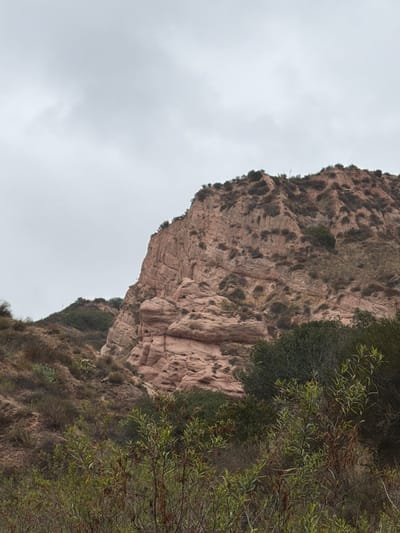 The image shows a steep, rocky mountainside with sparse vegetation. The rocks are a reddish-brown color and appear to be weathered, with visible layers and indentations. Small green bushes and trees are scattered across the mountainside, clinging to the slopes. In the foreground, branches of a leafy green tree with slender leaves are visible, obscuring part of the mountainside. The sky is overcast and a dull gray, suggesting cloudy weather. The image is oriented vertically, with the mountainside occupying the right and central portion of the frame and the sky filling the left side. There is no visible text. The scene appears to be a natural landscape in a mountainous or hilly area, possibly a canyon or a steep hillside, given the terrain. The lighting suggests it is daytime, but the overcast sky makes it difficult to determine the exact time of day. The location is identified as Lake Forest, USA.