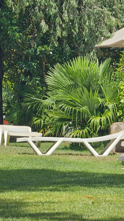 The image depicts a serene outdoor scene, likely a garden or courtyard, in Alhama de Aragón, Spain. The foreground is dominated by a lush green lawn, with a shadow cast across it, suggesting an overhead structure like a canopy or trees. In the middle ground, two white plastic lounge chairs are visible, one on the left partially cropped, and another larger one in the center. These chairs are positioned on the grass, facing towards the right side of the frame. Behind the chairs, a dense backdrop of vibrant green foliage and palm fronds creates a tropical ambiance. The sunlight is bright, illuminating the scene and casting distinct shadows. The overall impression is one of a tranquil, sun-drenched spot, perfect for relaxation.