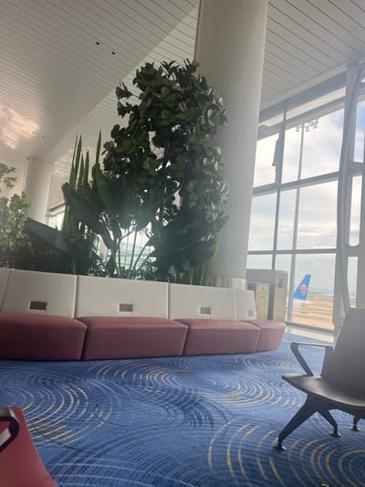This media file captures an interior view of an airport lounge, likely in Guangzhou, China. The scene is dominated by a large, floor-to-ceiling window that offers a view of an airport tarmac. Sunlight streams through the window, illuminating the lounge and creating a bright, airy atmosphere. The time of day appears to be daytime, with a cloudy but bright sky visible.
Inside the lounge, the foreground is filled with lush, artificial greenery, creating a naturalistic element within the modern airport setting. Behind the plants, a series of seating units are arranged, featuring a combination of white and maroon cushions. These seats appear to be modular, creating a continuous bench-like structure. Multiple electrical outlets are visible on the white seating modules.
The floor is covered with a vibrant blue carpet featuring a swirling pattern of yellow and white lines. In the background, through the large window, an airplane with a distinctive blue and red logo on its tail is parked at the gate. The tarmac is visible, along with what appears to be airport infrastructure and other buildings. A dark, modern chair with a distinctive leg structure is partially visible in the lower right portion of the frame.
One notable detail visible on a utility box near the window is a yellow warning sign with Chinese characters, indicating a high-voltage hazard. The overall impression is one of a comfortable and well-appointed waiting area within a busy international airport, designed to offer a pleasant experience for travelers. The mood is calm and functional, typical of an airport transit space.