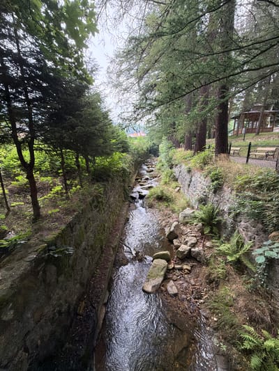 The image depicts a narrow, rocky stream flowing through a narrow channel with stone walls on either side. Lush green trees and vegetation line the banks, with sunlight filtering through the leaves. In the distance, a wooden gazebo and park benches are visible, suggesting a park or recreational area. The scene is natural and serene, with the water creating ripples as it flows over the rocks. The overall impression is one of a peaceful, natural setting within a possibly urban or semi-urban environment. This location is the "Stokrotka" stream, located in the town of Świeradów-Zdrój, Poland, known for its mineral springs and spa facilities.