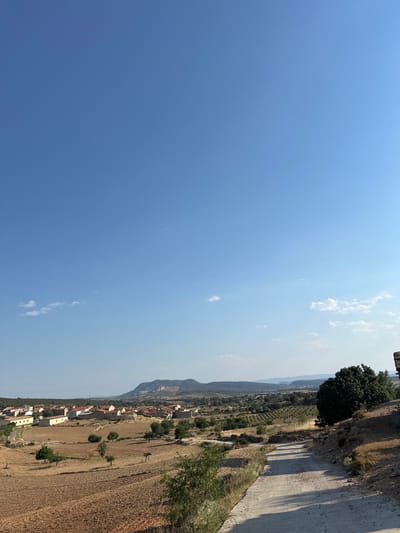 The image depicts a rural landscape in Alpuente, Spain, under a clear blue sky with sparse clouds. The foreground features a dirt road winding uphill, bordered by dry, brown vegetation and rocky terrain. To the left of the road, a treed area with a large, dark green tree stands prominently. Beyond the road and trees, a village with terracotta-tiled roofs is visible, nestled in a valley. The village appears to be surrounded by agricultural fields, some of which are fallow and dry, while others show signs of cultivation. In the background, rolling hills and mountains create a rugged horizon, with one distinct mountain showing visible erosion or quarrying. The overall scene suggests a warm, dry climate typical of inland Spain. There are no people or animals visible in the image.