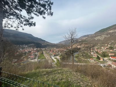 A wide-angle shot from a hillside reveals a panorama of the village of Tserovo, Bulgaria, nestled in a valley. Two mountains enclose the valley. A tree with bare branches stands prominently to the right of the frame, and a pine tree with dense needles is positioned on the upper left, partially obscuring the view. A railway track runs through the center of the village. Buildings with red-tiled roofs are scattered across the landscape. A metal fence is visible in the immediate foreground, partially out of focus. The foreground consists of a grassy slope with dry foliage. The sky is overcast.