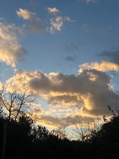 The image displays a serene outdoor scene, looking up towards a partially clouded sky during either sunrise or sunset. The sky is dominated by a vast expanse of clouds, beautifully illuminated with warm golden and orange hues on their edges, suggesting indirect sunlight from a low angle. The undersides and shadowed portions of these clouds appear in shades of grey and darker tones, creating a dramatic contrast. Interspersed among the clouds are patches of clear, light blue sky. A very faint, slender crescent moon is subtly visible within one of these blue sky sections, high above the horizon.
Along the right and bottom edges of the frame, dark silhouettes of trees and foliage are visible, indicating the presence of a forest line or dense vegetation. Some bare, intricate tree branches are clearly silhouetted against the brightly lit clouds and sky, adding textural detail to the foreground.
The golden light on the clouds and the contrasting dark silhouettes of the trees strongly indicate either dawn or dusk. There are no people, visible objects beyond the natural elements, or discernible activities taking place. No text is visible in the image. The scene conveys a peaceful atmosphere, characteristic of twilight hours. Given the location context, this is a natural landscape view in Beit Yitshak Sha'ar Hefer, Israel.