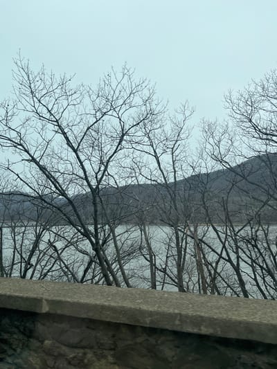 The scene depicts a panoramic view from an elevated vantage point in the Town of Cortlandt, United States. In the foreground, a weathered stone and concrete barrier, consisting of a rough stone base and a smooth capstone, extends horizontally across the lower portion of the frame. Immediately beyond this barrier, numerous bare deciduous trees with dark, intricate branches dominate the midground, partially obscuring a wide, calm body of light-gray water, likely the Hudson River. In the distant background, undulating, sparsely vegetated hills or mountains rise under an overcast, light-blue sky. The leafless trees indicate a seasonal context of late autumn, winter, or early spring. No human or animal subjects are visible.