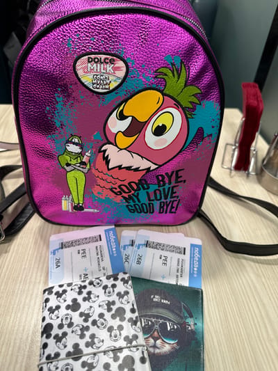 The image shows a pink and purple backpack decorated with a cartoon bird, a figure in a green suit, and the phrase "GOOD BYE, MY LOVE, GOOD BYE!" in black text. A sticker with "DOLCE MILK" and "союз мульт фильм" (Soviet animation) is affixed to the backpack.

Two Pobeda Airlines boarding passes for PUSHKAREVA KAROLINA ARTEM and PUSHKAREVA MARINA MIKHAILO are visible. The boarding passes indicate departure from PEE (Perm, Russia) to either a flight or destination, with one pass showing flight DP 36 from PEE to AE (Sochi, Russia). The seat numbers are 26A, 26B and 26C.

A black and white wallet with a Mickey Mouse pattern is also visible, alongside a green wallet with a cat design. A metal brush holder and a red brush are in the upper left.

The location is uncertain. It is not possible to confirm it being Boldino, Russia, based on the visual information in the image.