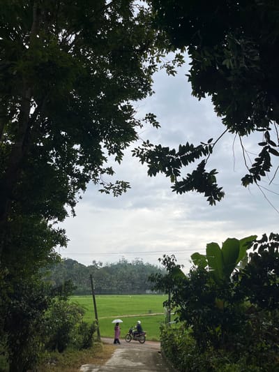 Framed by dense foliage, a landscape unfolds. In the distance, a vibrant green field stretches towards a horizon of verdant hills. A narrow, paved path cuts through the landscape, where a person with an umbrella stands alongside a person on a motorcycle. The sky above is overcast, casting a soft light on the scene. Overhead power lines are visible.