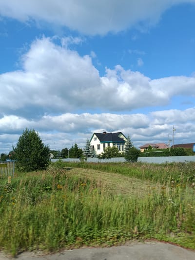 The image depicts a suburban landscape under a cloudy blue sky in Gribchikha, Russia. In the mid-ground, a two-story house with a dark, gabled roof and cream-colored walls is visible. It has several windows and a prominent chimney. A light-colored metal fence runs along the property line, separating it from the foreground. The foreground is dominated by tall, green grass and some yellow wildflowers, suggesting a rural or undeveloped area. Several evergreen trees are scattered throughout the scene, including a large pine tree to the left of the house. Other houses and buildings, partially obscured by vegetation and trees, can be seen further in the background, as well as what appears to be a cellular tower. The overall impression is one of a quiet, residential area bordering on natural landscape.