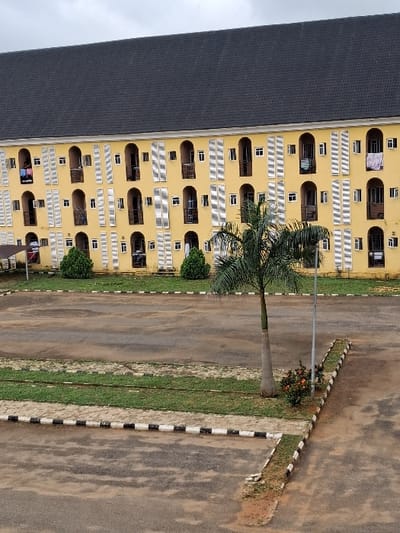The image depicts a multi-story building and its immediate foreground in Ukwulu, Nigeria, under an overcast sky. The building, a long, rectangular structure, features a pale yellow facade and a dark, sloped roof. Three visible stories contain a repeating pattern of arched openings, many fitted with small balconies or railings, and interspersed smaller rectangular windows. Several arched openings are flanked by vertical, ribbed white panels. Clothes are observed hanging on railings from multiple balconies on the upper two visible floors. Small, round green shrubs are planted along the base of the building. In the foreground, a large, worn asphalt or paved area extends across the frame. This area is bisected by a long, narrow grassy median delineated by black and white checkered curbs. A single palm tree with a slender trunk stands in one of these grassy sections in the mid-right, alongside a small bush bearing reddish-orange flowers and a vertical utility pole. No individuals are visible.