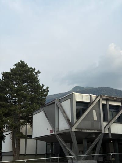 The media file is an image of a modern, geometric building with a complex structural design, featuring large glass windows and white panels. The building's exterior is characterized by an intricate network of metal beams and triangular supports, giving it a somewhat deconstructed or skeletal appearance. To the left of the building, a dense evergreen tree with dark green foliage is visible, its branches reaching towards the structure. In the background, a mountain range covered in lush green forest is shrouded in a hazy, overcast sky. The overall atmosphere is subdued, suggesting a cloudy or possibly rainy day. The lighting is diffused, and there are no strong shadows, indicating it might be mid-day or late afternoon under heavy cloud cover. The setting appears to be in a natural, mountainous environment, consistent with the provided location context of Monthey, Switzerland. There is a small red sign with white text on the building, but the text is not legible. The image is oriented vertically, with the tree and the lower part of the building appearing on the left side of the frame, and the sky and mountain range dominating the upper portion. No people are visible in the image, and no specific activity or event is depicted. The focus is on the architecture and the surrounding natural landscape.