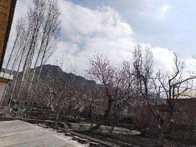 The image depicts an outdoor scene in Limbur, Uzbekistan, characterized by mountainous terrain and a mix of developed and natural elements under a partly cloudy sky.

In the foreground, a light-colored paved surface, possibly concrete, extends diagonally from the lower-left towards the mid-right. Adjacent to this, at the bottom-right, are several light-toned rectangular blocks arranged horizontally.

The midground features a light-colored building with a dark roof overhang visible on the left. A clothesline extends from this building, displaying various garments hanging. The central and right midground are populated by numerous deciduous trees, predominantly bare-branched, though some exhibit nascent reddish buds or blossoms. The ground beneath these trees is dark and appears sparsely vegetated. Additional faint structures are discernible behind these trees, particularly on the left.

The background is dominated by a prominent, rugged, dark-grey mountain range with visible rock formations, stretching across the upper portion of the image. The sky above is partly cloudy, displaying a mixture of white and grey clouds with interspersed areas of blue. No individuals are visible.