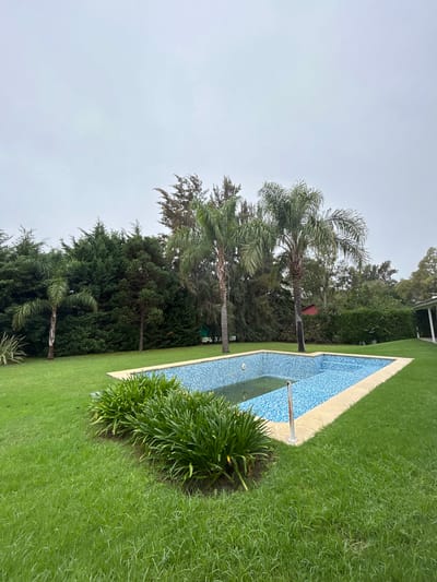The scene depicts an outdoor area in what appears to be Hudson, Argentina, based on the architecture and vegetation. A rectangular in-ground swimming pool, mostly filled with water, sits in the middle of a well-maintained green lawn. The pool has a blue tiled interior and a light-colored edge. A metal pole extends from the poolside into the pool. The lawn surrounds the pool area and appears to be freshly cut. Beyond the lawn and pool, there's a dense line of tall, mature trees, including palm trees and other types of foliage. The sky is overcast, suggesting a cloudy or possibly rainy day.